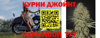 гидропоника Гусиноозёрск