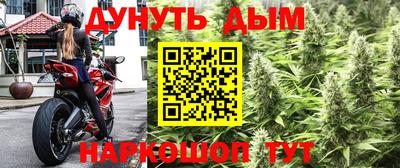 тгк Гусев