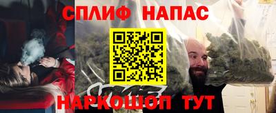 тгк Гусев