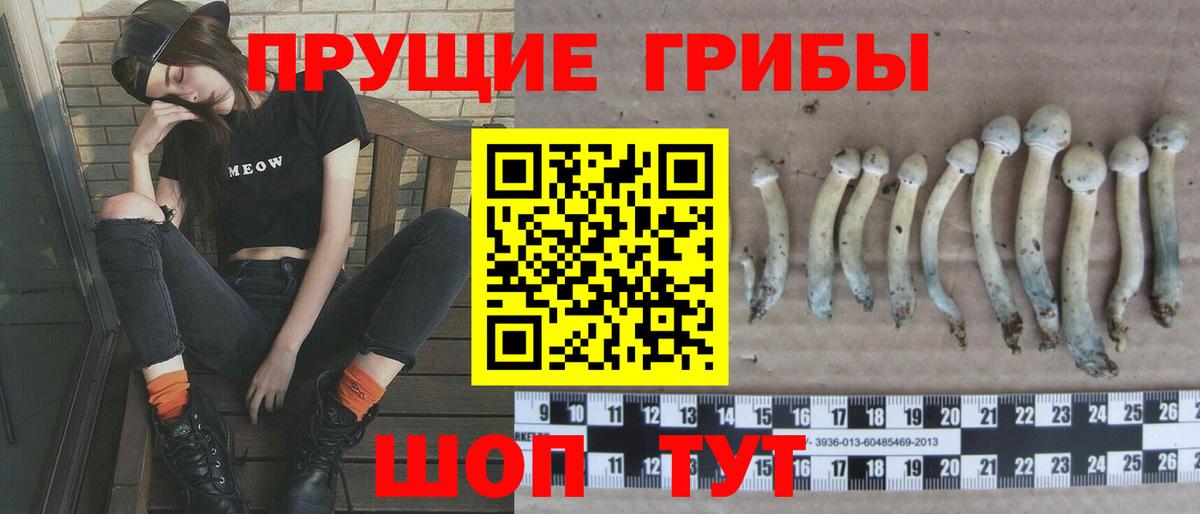Псилоцибиновые грибы ЛСД  Галлюциногенные грибы GOLDEN TEACHER  Вход с VPN  Заволжье 